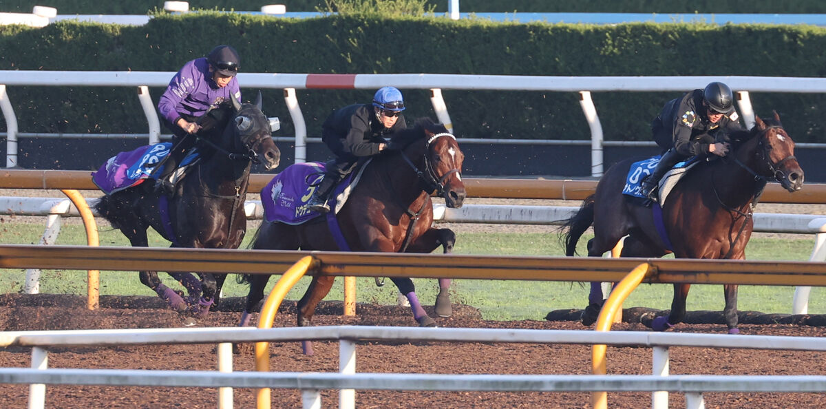 【ジャパンＣ】武豊騎手「スピード違反で捕まるわ」　ドウデュース圧倒ラスト１０秒９