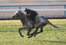 【マイルＣＳ】ムーア騎手が英国馬チャリンと初コンタクトで好感触　気になる日本馬のライバル３頭は？