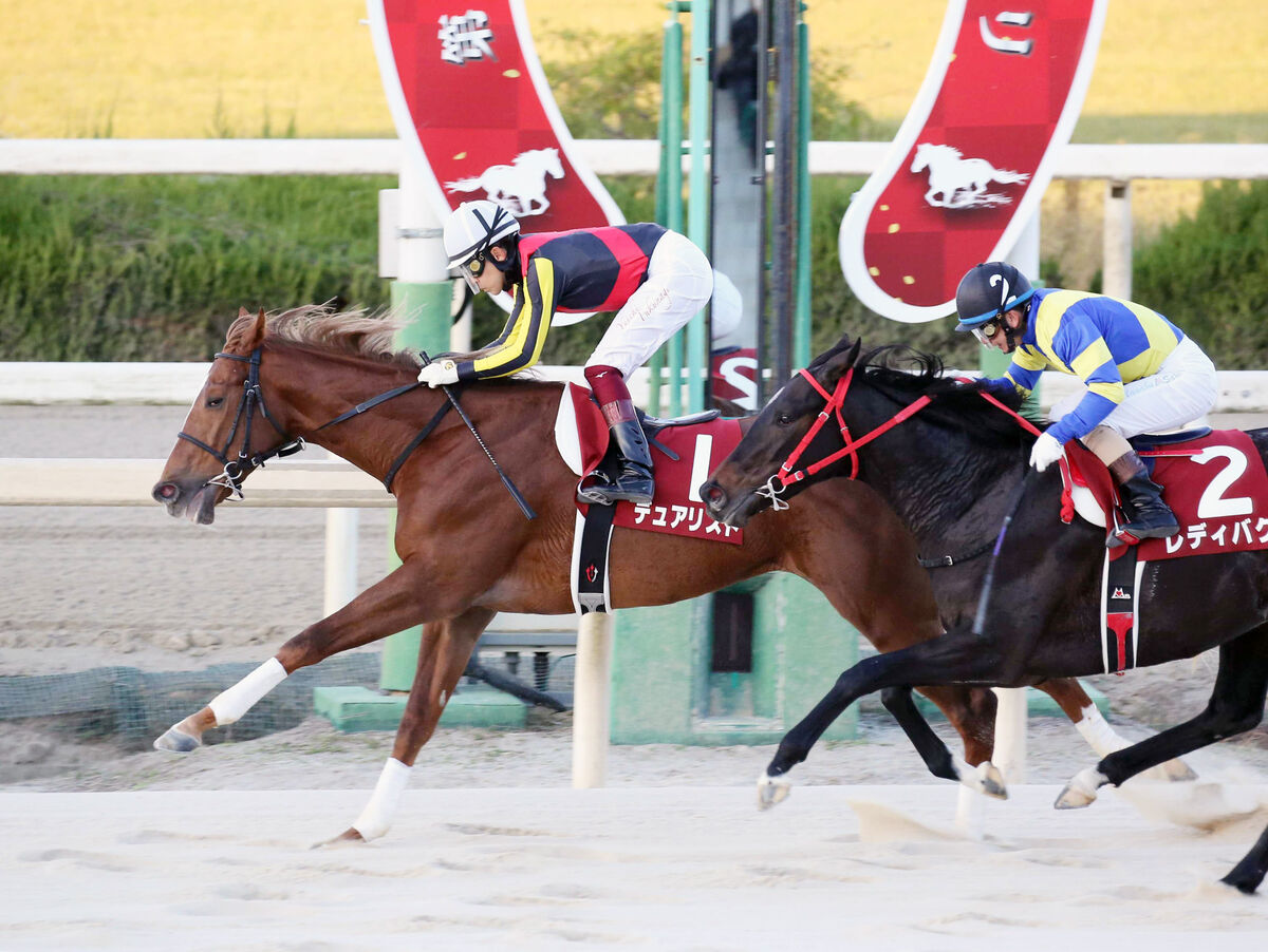 ２０年兵庫ジュニアＧＰ覇者デュアリストが抹消　大井競馬に移籍予定