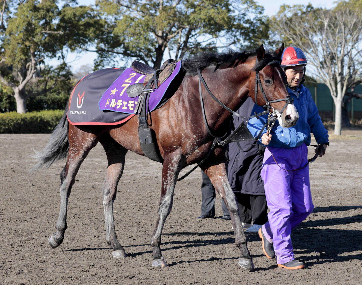 Ｇ１馬ドルチェモアがＪＲＡの競走馬登録を抹消　今後は大井競馬へ移籍予定