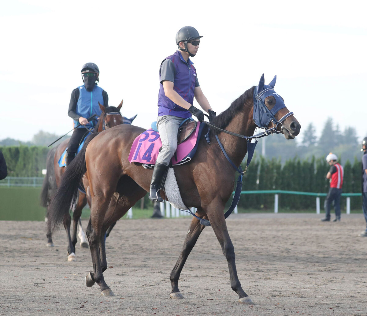 【注目馬動向】フォーエバーヤングの半妹ブラウンラチェット　次走は阪神ＪＦを予定