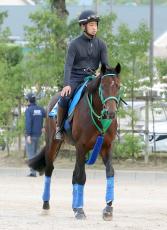 【注目馬動向】プラダリアが香港ヴァーズの招待を受諾