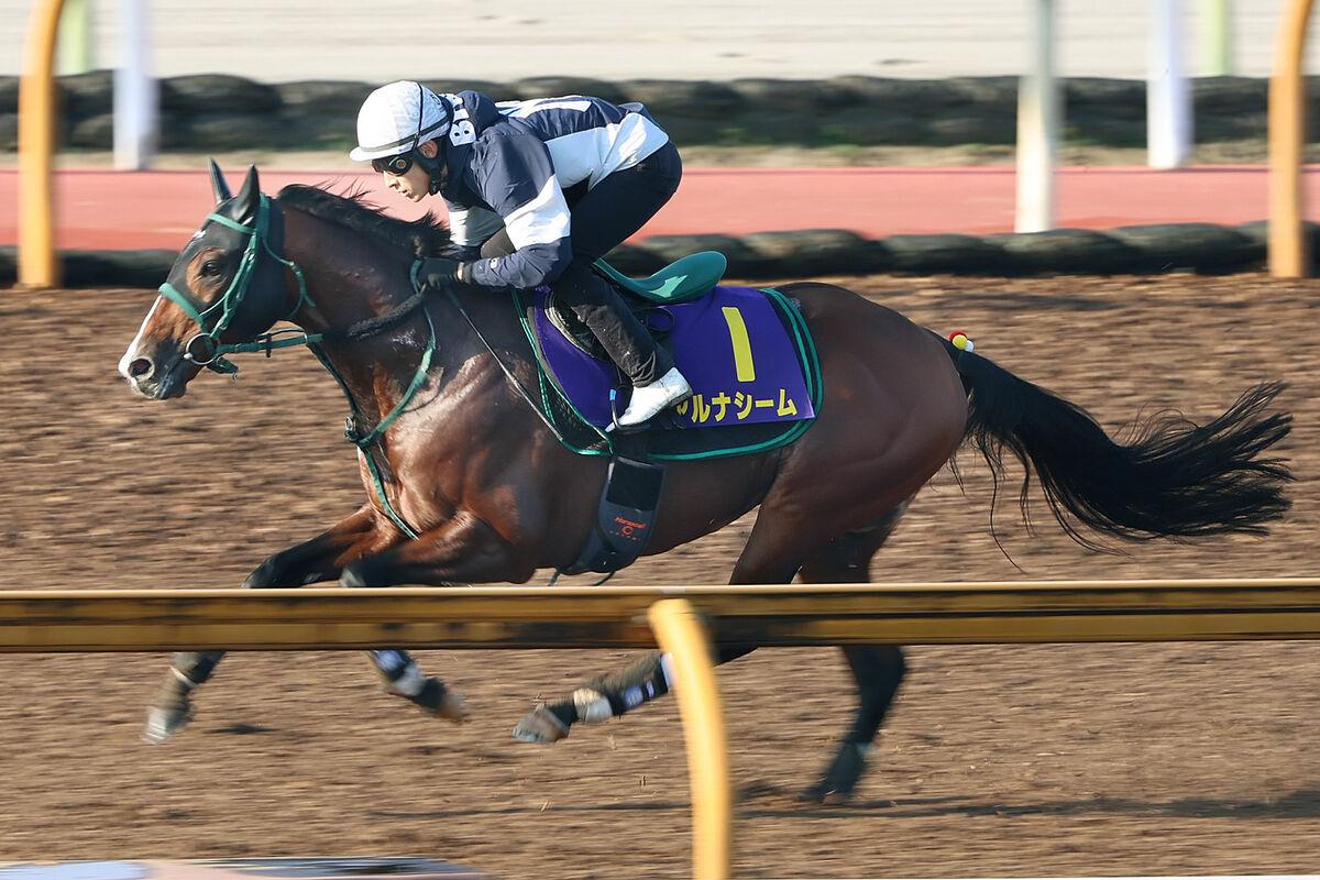 【マイルＣＳ】“テン乗り名人”藤岡佑介騎手で一発狙うアルナシーム