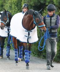 【マイルＣＳ】カギになる「外差し」　馬場、得意距離、道悪で武豊騎手騎乗オオバンブルマイ浮上