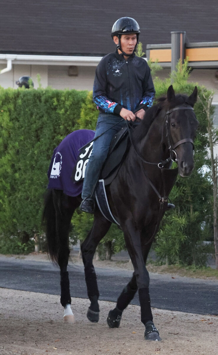 【東京スポーツ杯２歳Ｓ】新馬戦圧勝のクロワデュノールは４枠４番　レッドキングリーは７番　枠順確定