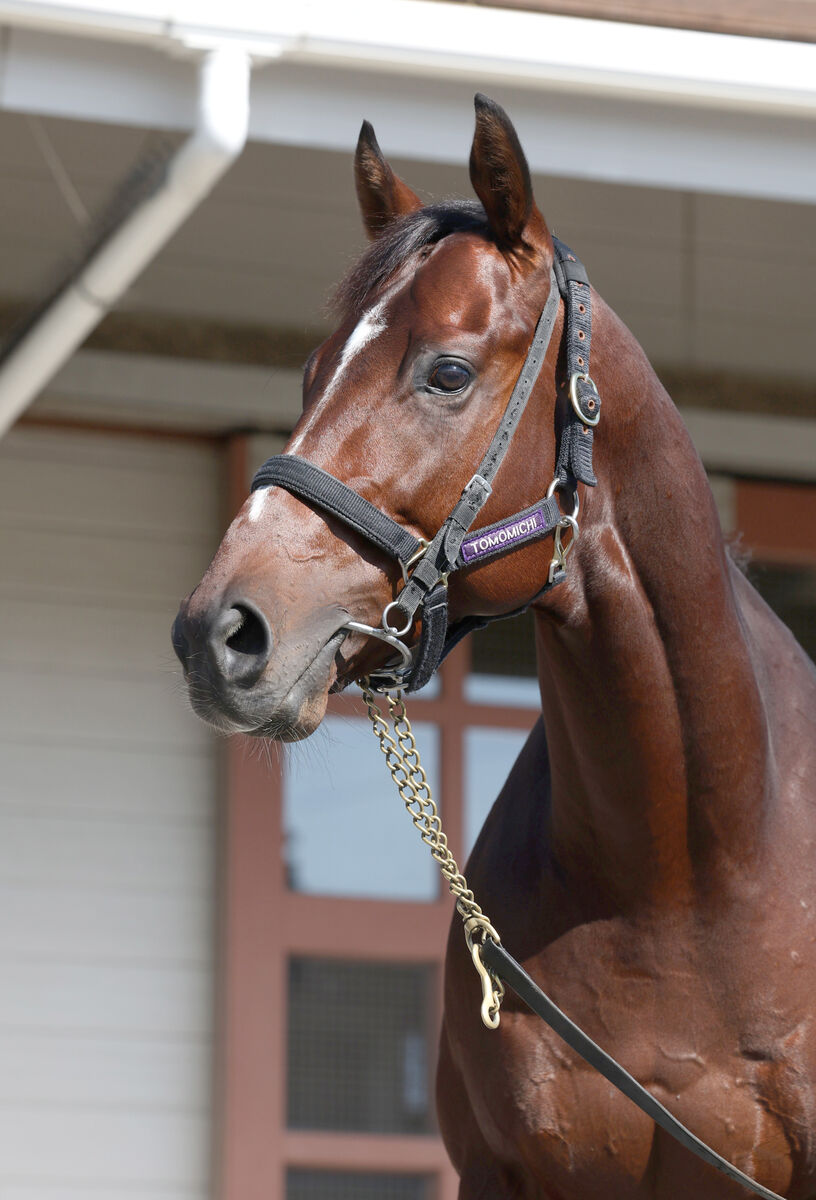 ドウデュースとローシャムパークが日本馬トップ１１位タイ　ロンジンワールドベストレースホースランキング中間発表