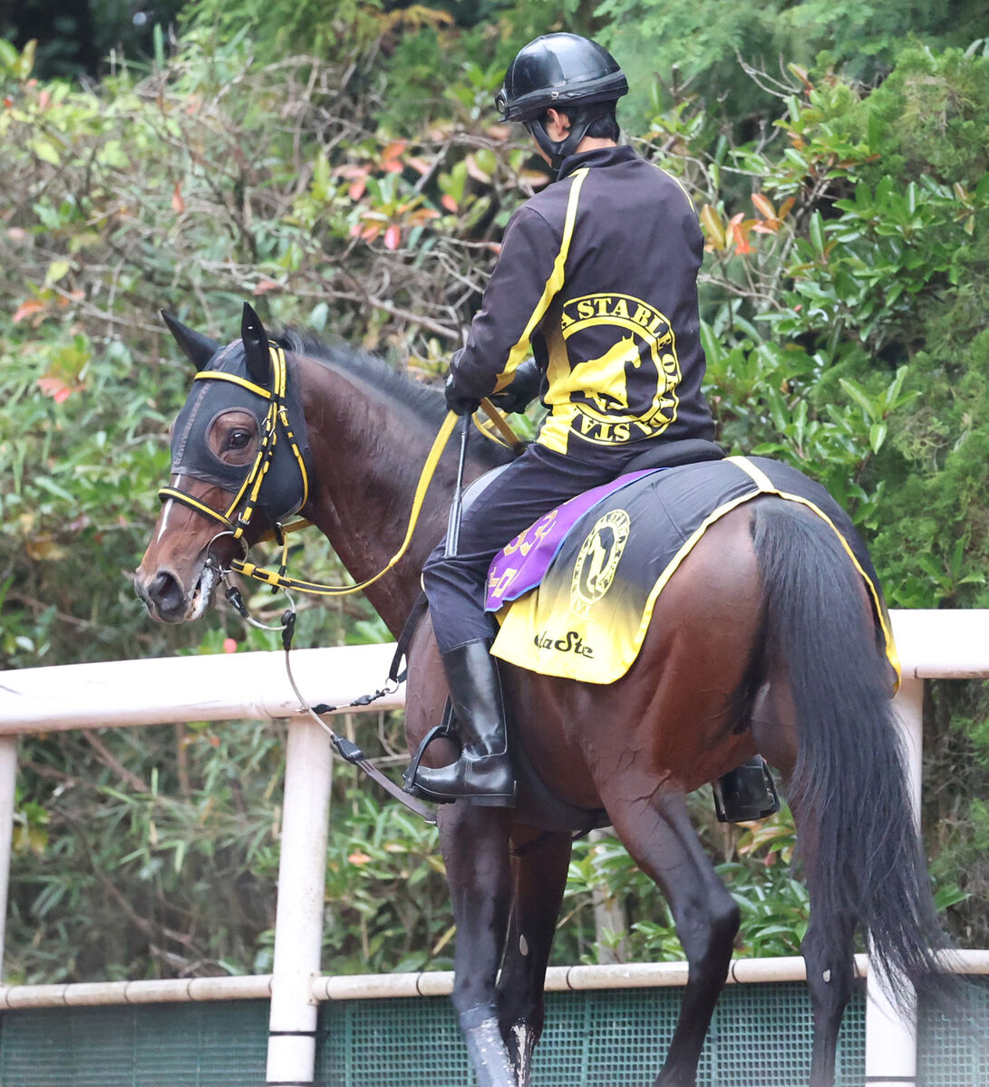 【注目馬動向】テーオーロイヤルは連覇がかかる来年の天皇賞・春が大目標　左前脚の治療で年内は休養へ