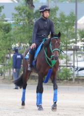 【注目馬動向】プラダリアは招待を受諾した香港ヴァーズへ出走　登録のあるジャパンＣは回避