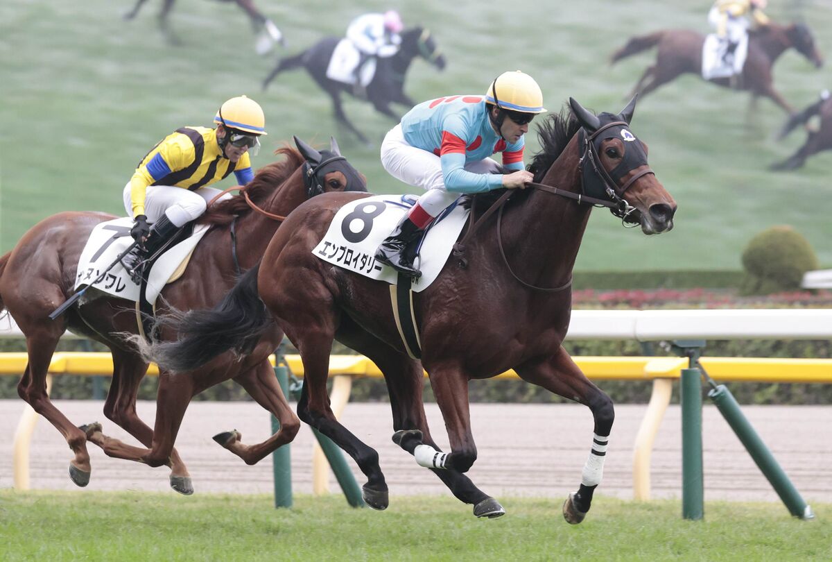 【東京６Ｒ・２歳１勝クラス】「能力があります」ルメール騎手絶賛のエンブロイダリーが２勝目ゲット