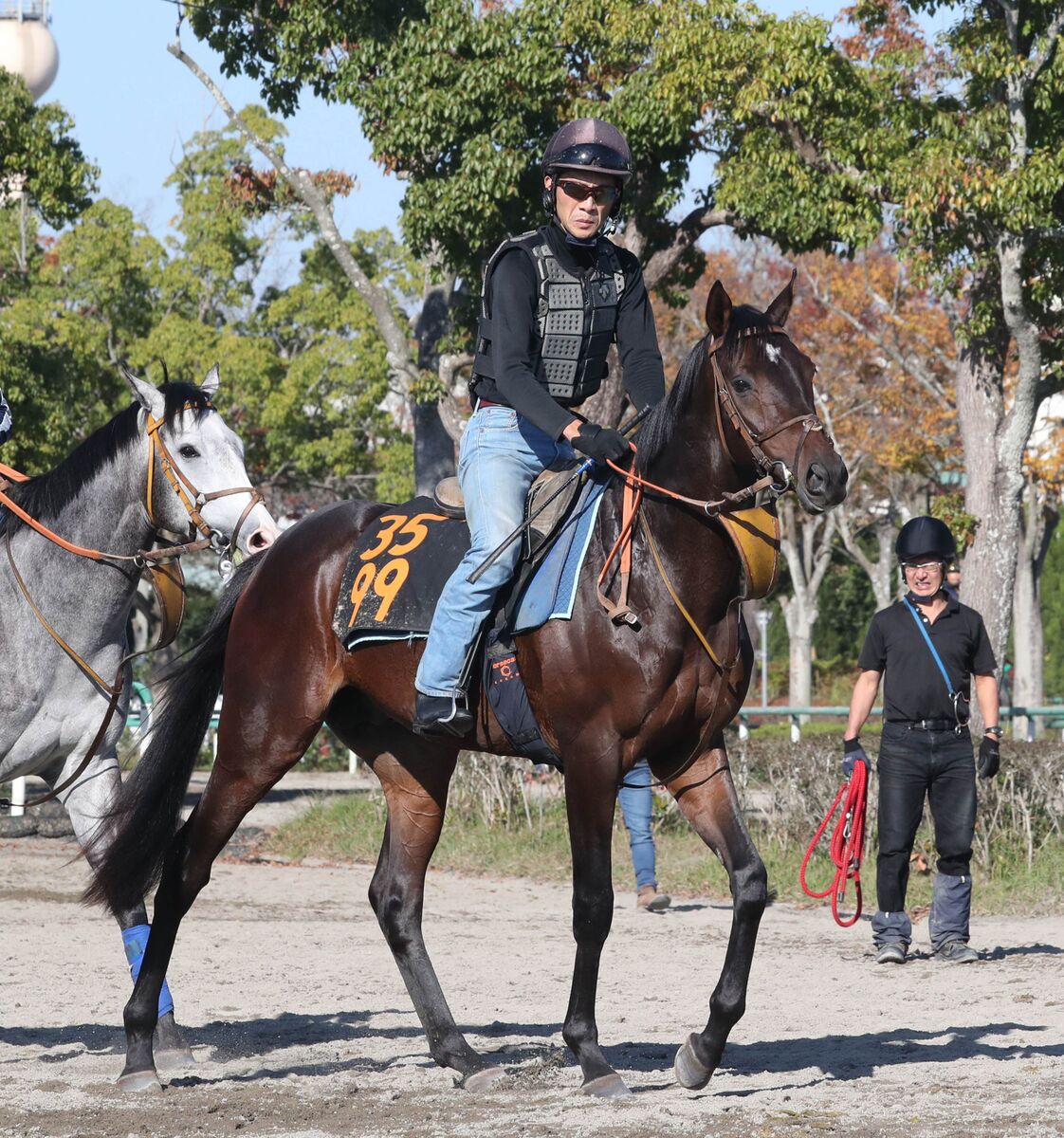 土曜東京競馬場の注目激走馬…東京１１Ｒ東京スポーツ杯２歳ステークス・Ｇ２