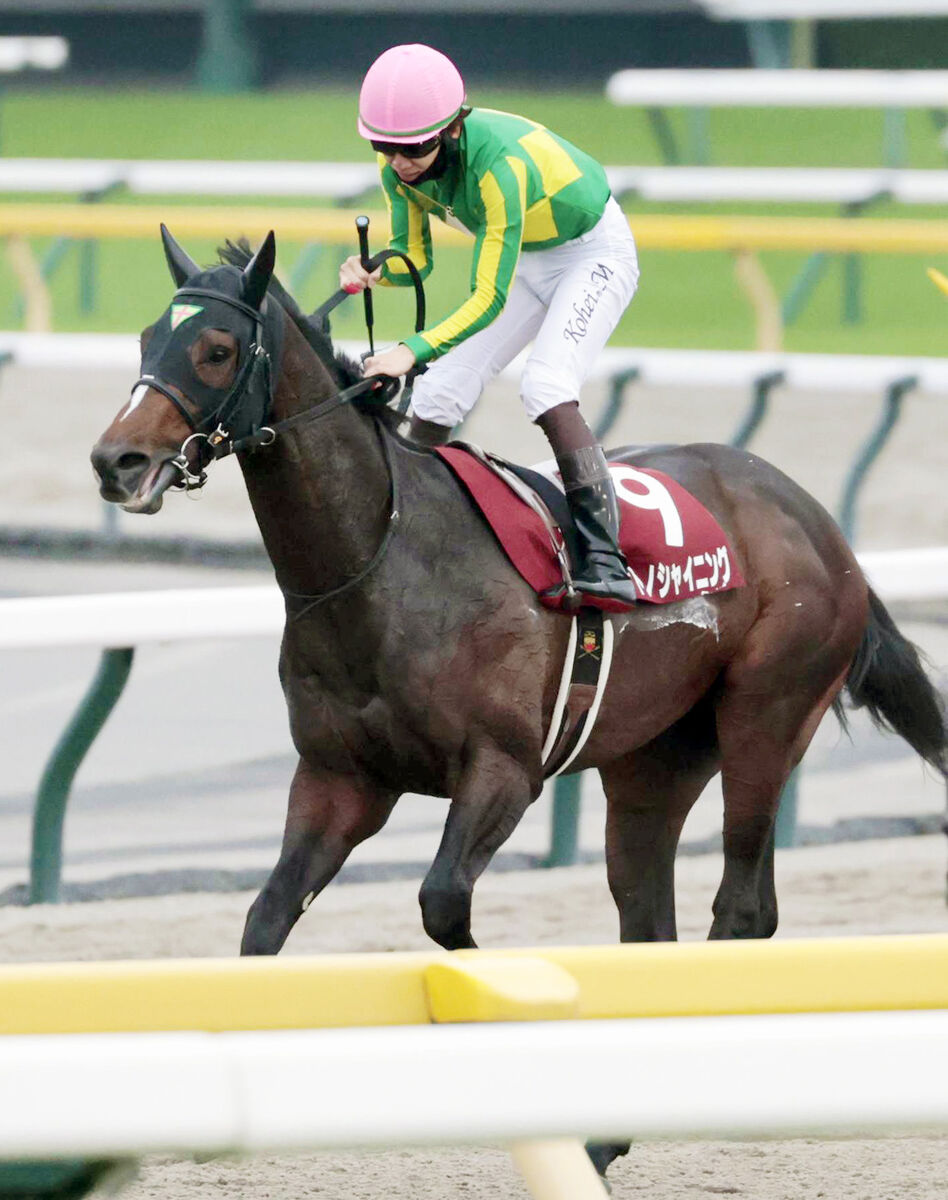 【東京スポーツ杯２歳Ｓ】サトノシャイニングが２着に逃げ粘る　松山弘平騎手「３完歩目で…」