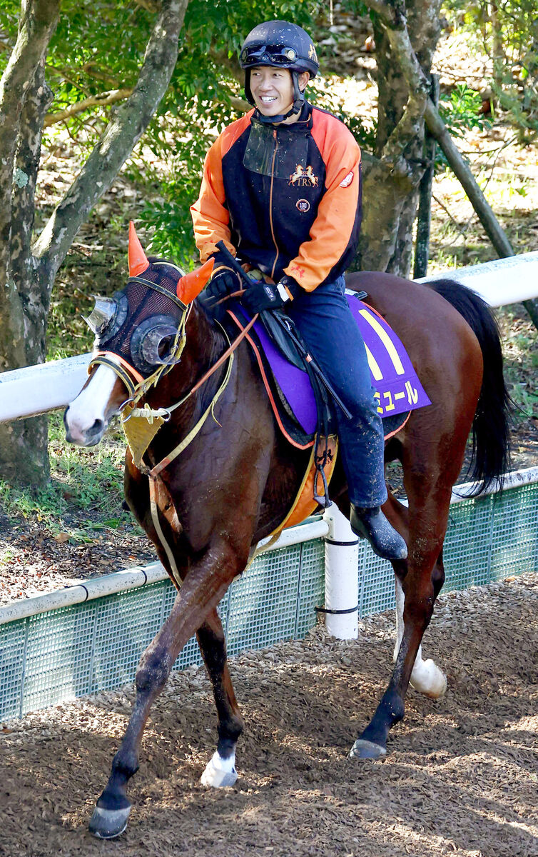 【マイルＣＳ】森泰斗騎手の本命は「じっくり脚をためて決め打ちのイメージ」を持つ馬