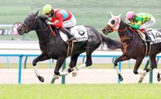 マイルＣＳ当日の京都競馬場の芝の状態についてルメール騎手「悪いです…」　ブレイディヴェーグの内枠については…