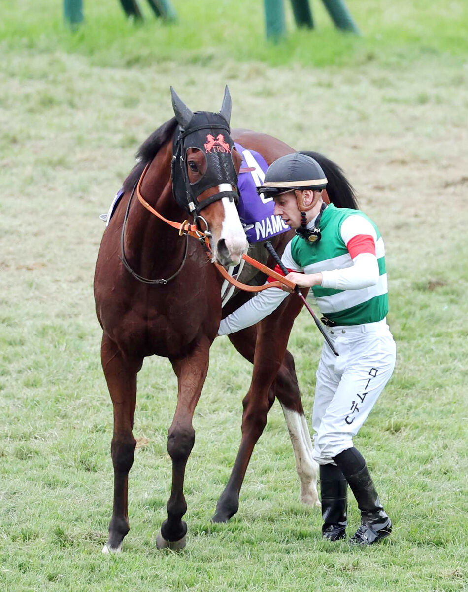 【マイルＣＳ】ナミュールは直線失速の最下位１７着　入線後下馬のＣデムーロ騎手「おかしいなと思って止めました」