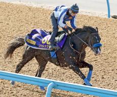 【ジャパンＣ・西山の特注馬】昨年の菊花賞馬ドゥレッツァの最終追い切りに注目　英国帰り初戦