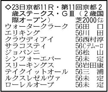 【京都２歳ステークス展望】２戦２勝のエリキングが一歩リードか　前走圧勝のサラコスティにも注目