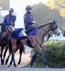 【ジャパンＣ】豪華メンバー勢揃いの「世界決戦」　12年ジェンティルドンナ、18年はアーモンドアイがV！３歳牝馬に注目