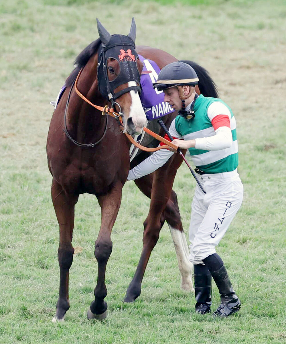 【マイルＣＳ】連覇を狙ったナミュールは大差の最下位　入線後に鞍上が下馬も歩様には「大きな問題はなさそう」