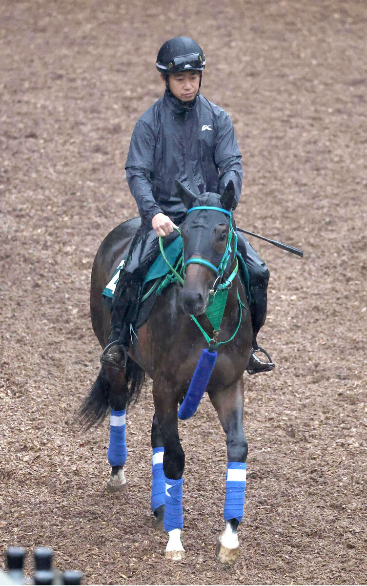 【京都２歳Ｓ・玉木の特注馬】良血馬が重賞に初挑戦　池添調教師「パワーがすごい」