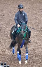 【京都２歳Ｓ・玉木の特注馬】良血馬が重賞に初挑戦　池添調教師「パワーがすごい」