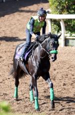 【ジャパンカップ・山下の特注馬】ジャスティンパレスが名手と完全復活へ　今は東京２４００メートルがベスト