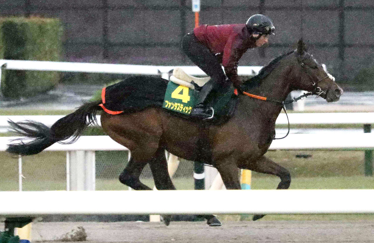 【ジャパンＣ】独ダービー馬陣営は女性調教師１人だけで来日「非常にしつけられていて扱いにくい部分がないので、全く問題ない」