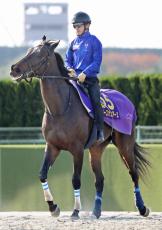 【ジャパンＣ】血統では外国馬より勝率１位のドゥラメンテ産駒！奇跡の血量スターズオンアース