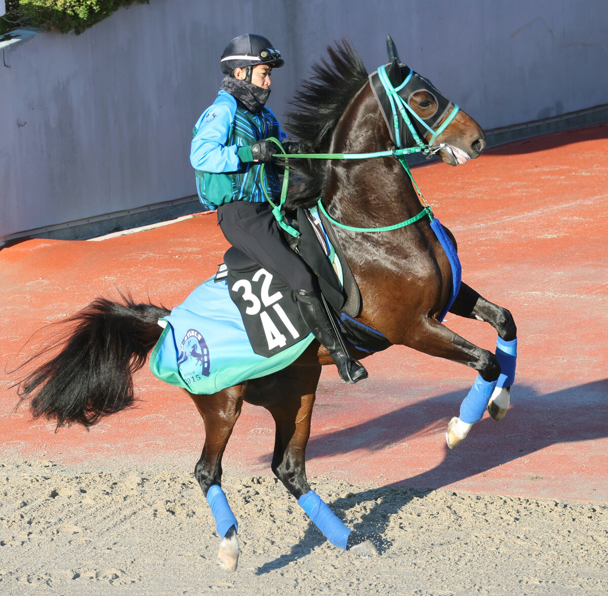 【京都２歳Ｓ】「心肺機能が高く、持っているものは素晴らしい」血統馬に池添調教師手応え