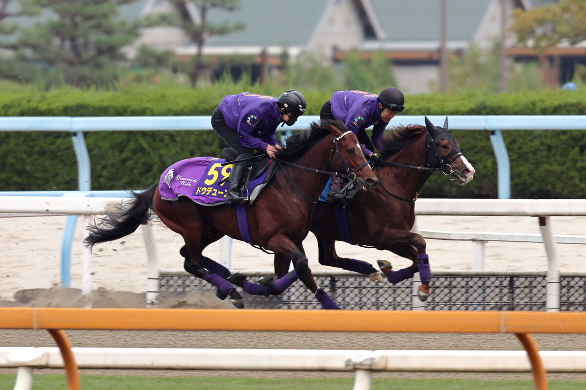 【ジャパンＣ】ドウデュースはポリトラックコースでキレキレ　友道調教師「日本でやる以上、海外の馬に負けるわけにはいかない」