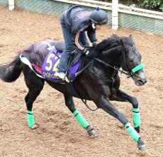 【ジャパンＣ】パワーをためにためているジャスティンパレス　杉山晴調教師「これならという気持ち」