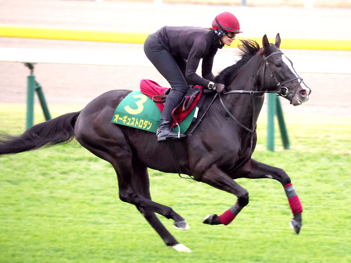 【ジャパンＣ】オーギュストロダンが芝コースを雄大なフットワークで疾走　オブライエン調教師「東京に向いていると思う」