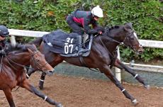 【京都２歳Ｓ】エリキングが無傷３連勝へ好仕上がりアピール　中内田調教師「いい状態で迎えられる」