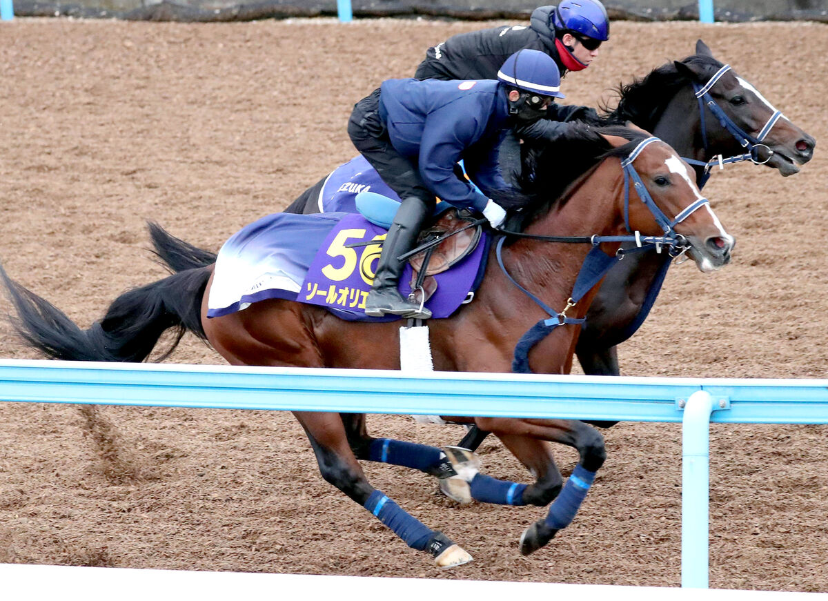 【ジャパンＣ】ソールオリエンスが軽快にラスト１１秒２　手塚調教師「スパイスで先行させました」