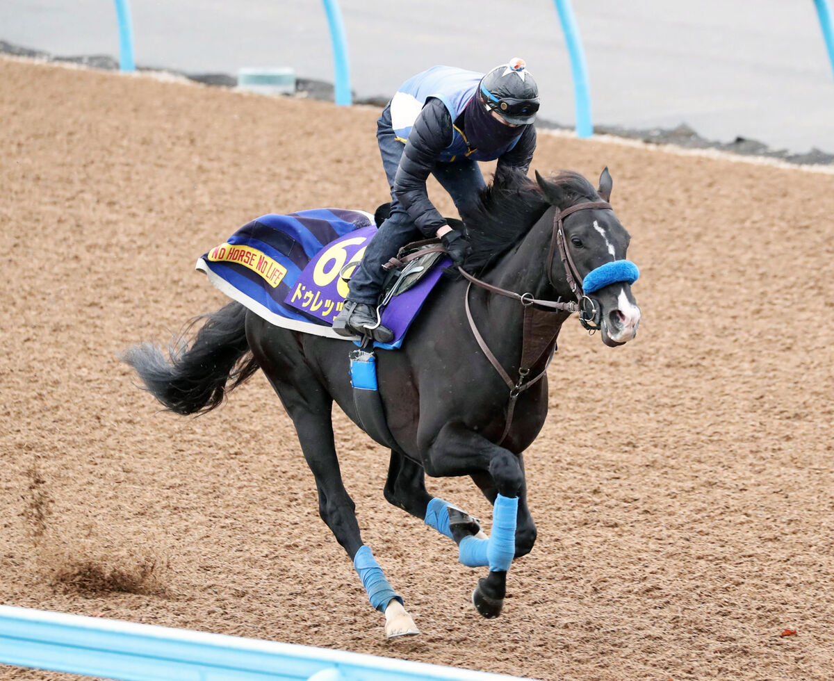 【ジャパンＣ】鞍上がビュイック騎手に決まったドゥレッツァはラスト１ハロン１１秒２　尾関調教師「走りも時計も言うことのないもの」