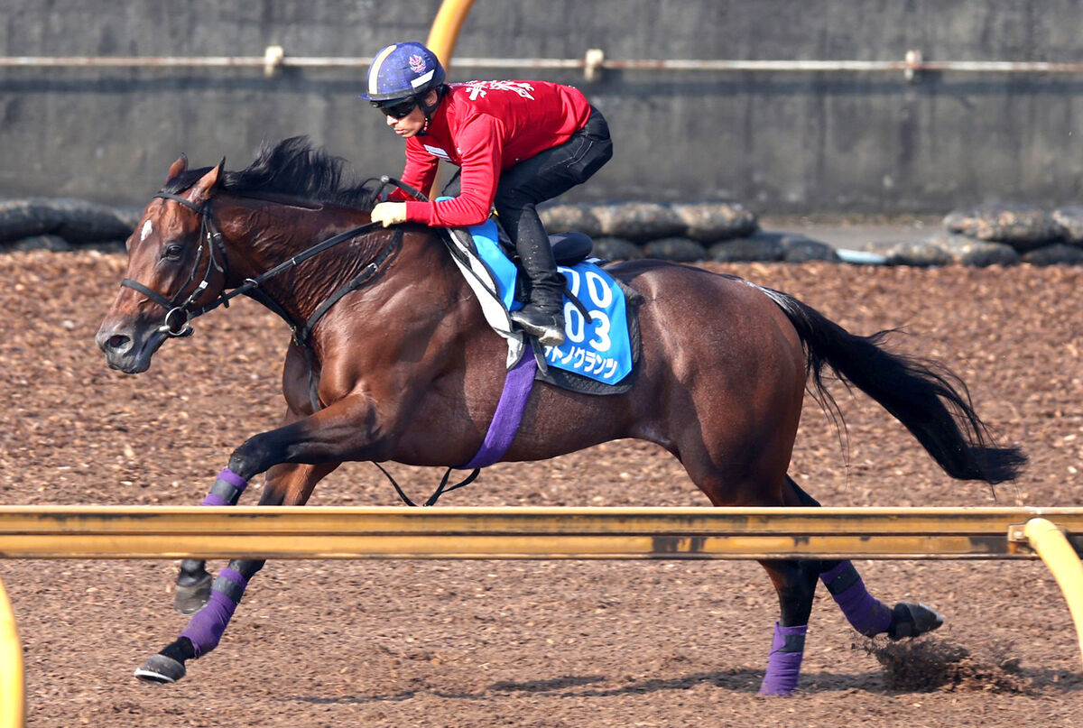 【注目馬動向】サトノグランツは有馬記念目指す　友道調教師は「投票をお願いします」とファン投票へアピール