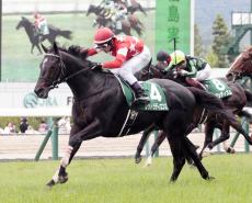 【注目馬動向】七夕賞勝ち馬のレッドラディエンスが左前脚浅屈腱炎発症　来週のチャレンジＣは回避