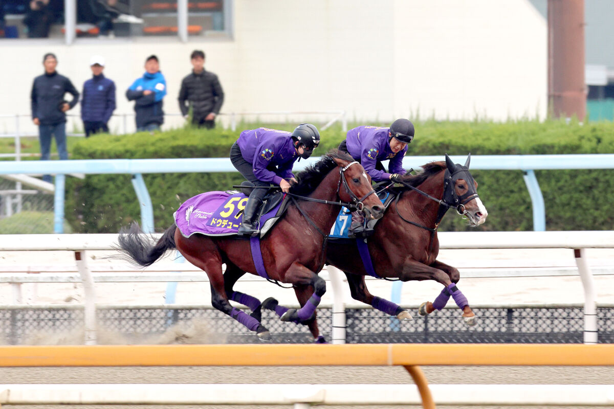 【ジャパンＣ】ドウデュースは快勝した「天皇賞・秋以上の状態」と友道調教師が自信　武豊も「今年は力が入る」