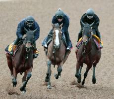 【ジャパンＣ】２冠牝馬が“木村厩舎流”の仕上げで万全　ルメール自信「アーモンドアイの時も古馬と初戦で勝った」