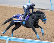 【ジャパンＣ】昨年の菊花賞馬ドゥレッツァは６枠１０番　尾関調教師「よさそうな枠。いろんな競馬しやすい」