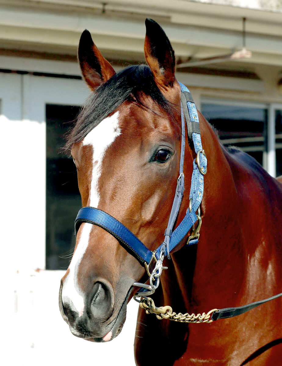 【ジャパンＣ】ソールオリエンスは７枠１２番から虎視たんたん　陣営「競馬に幅も出てきている」