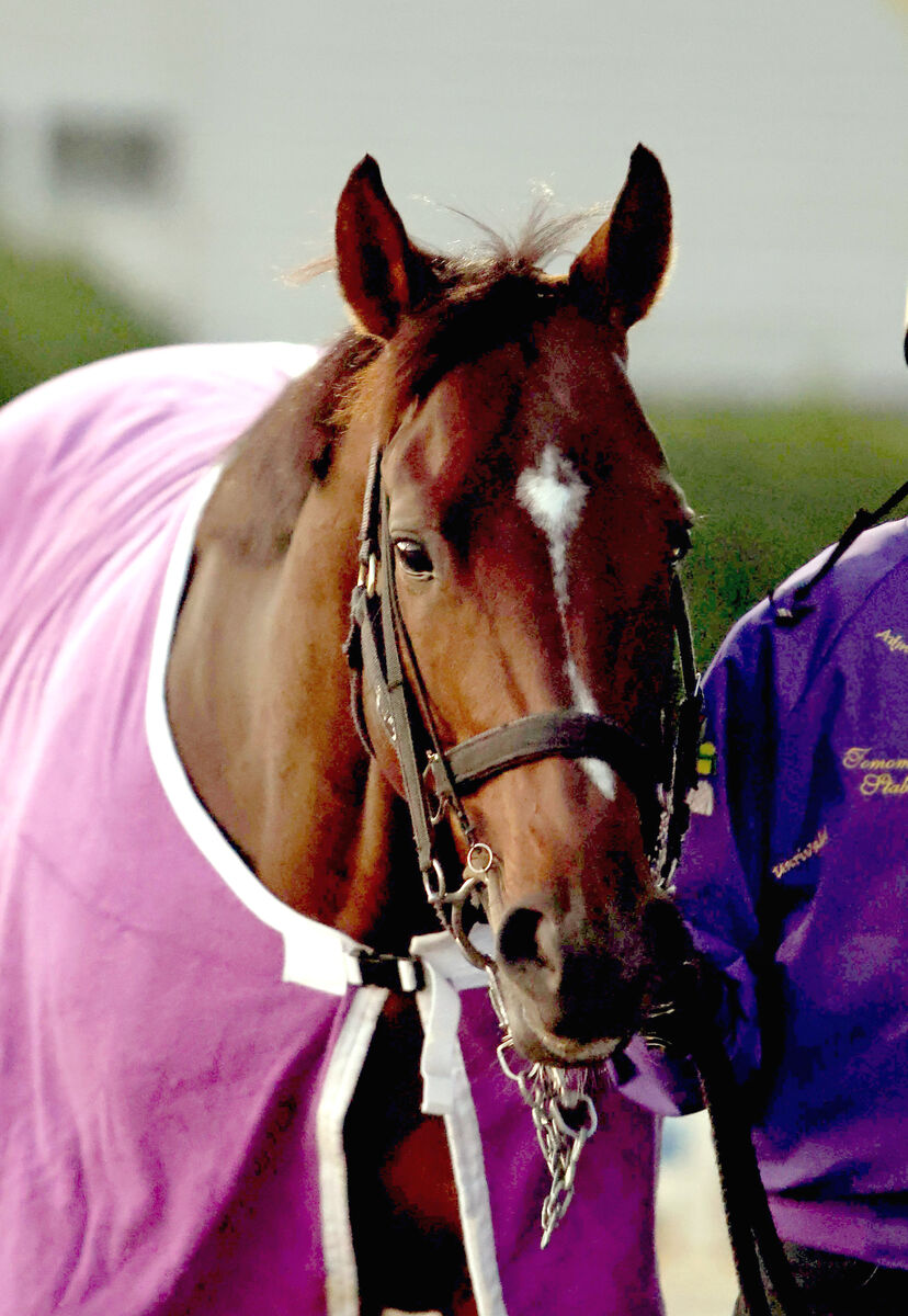 有馬記念ファン投票第１回中間発表　トップは連覇がかかるドウデュース