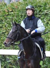 【注目馬動向】京都大賞典覇者のシュヴァリエローズはステイヤーズＳへ　香港ヴァーズの招待届かず