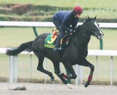 【ジャパンＣ】異例の２日連続時計にざわつく報道陣！４歳ディープ産駒が“Ａオブライエン”流調教で必勝期す