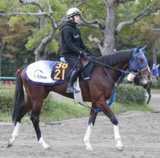 フィエールマン産駒の良血馬　２４日新馬戦でデビュー　手塚調教師「切れ味がありそう。動きは素軽い」