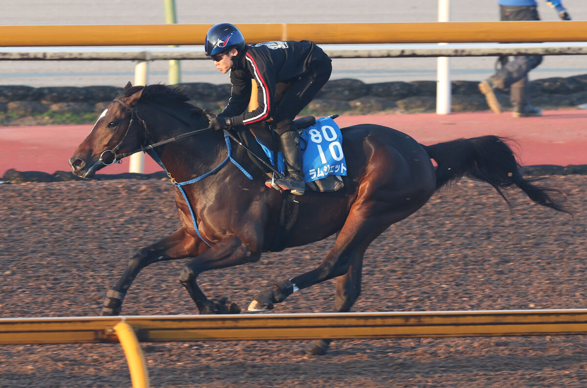 ラムジェットがチャンピオンズＣを回避　右前脚負傷のため