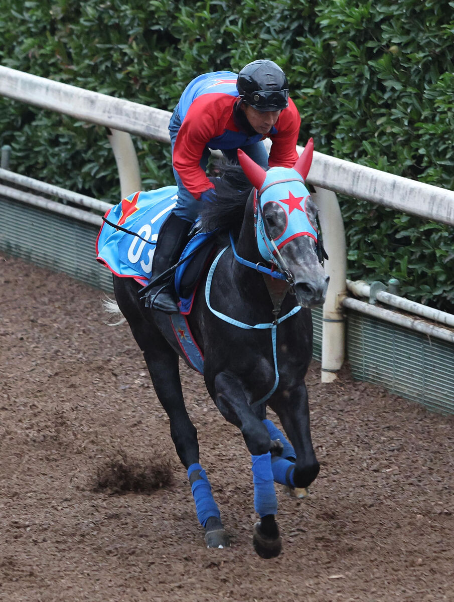 【京阪杯】重賞制覇を狙うビッグシーザーは２枠３番　重賞初騎乗の河原田菜々騎手とラプタスは８枠１８番　枠順決定