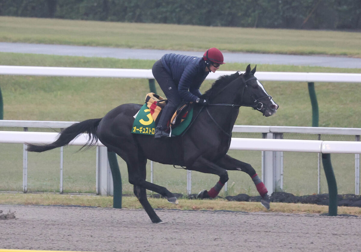 【ジャパンＣ】オーギュストロダンの背中を２歳から知るリチャードソン厩務員が語る、欧州年度代表馬との違い