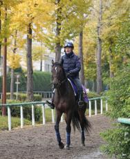 【ジャパンＣ】ドバイ以来となる昨年３着馬の気になる事前馬体重　高柳瑞樹調教師が口にした「ゆとりが…」