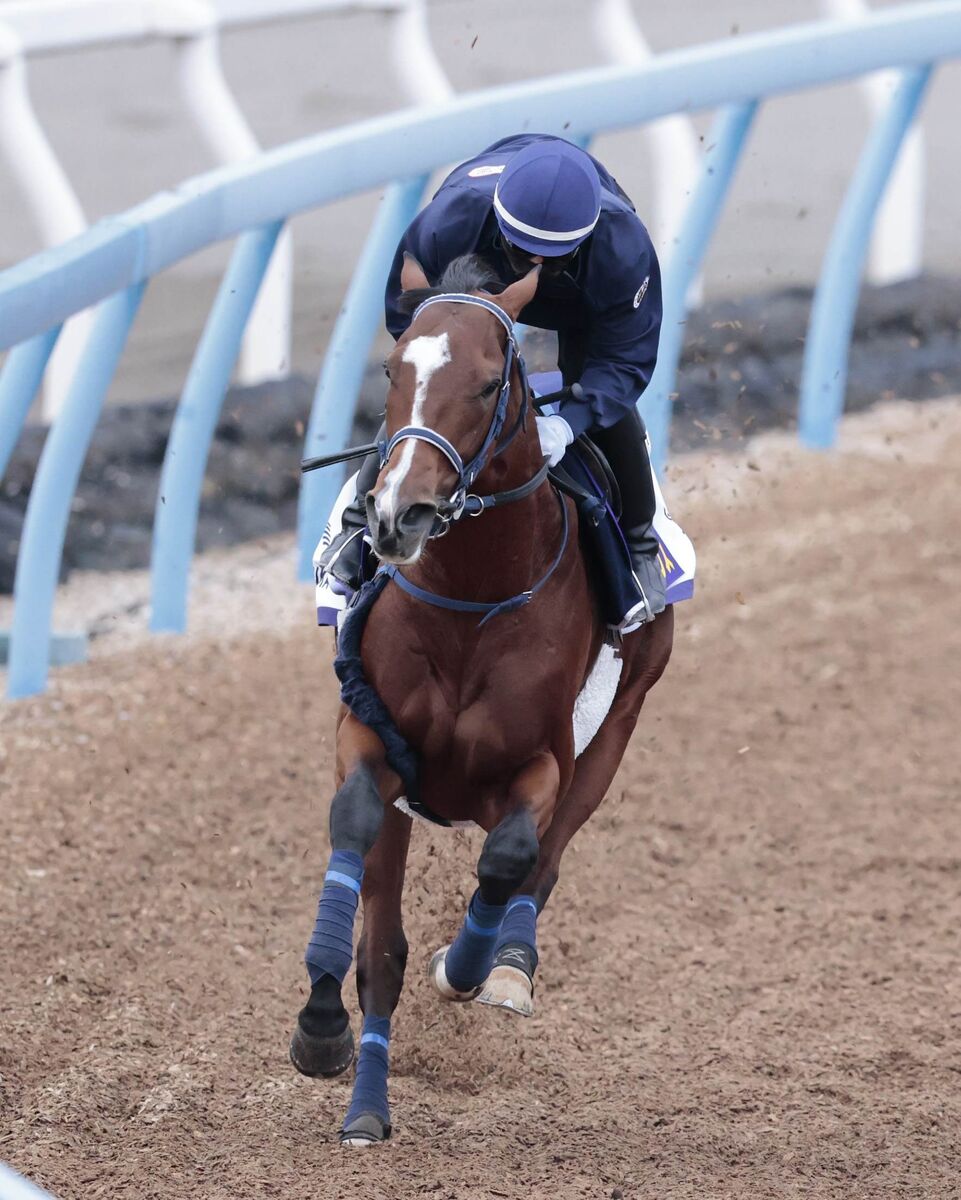 【ジャパンＣ】事前馬体重１６キロ増の４歳牡馬は「ちょうどいい感じになる」も、陣営明かす一発に必要な要素