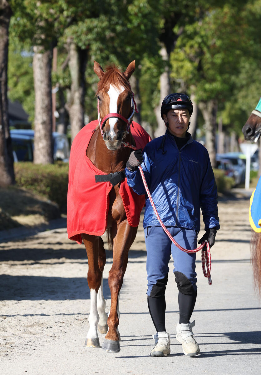 【ジャパンＣ】シンエンペラーは帰国初戦へ好ムード　陣営「体に幅が出た」